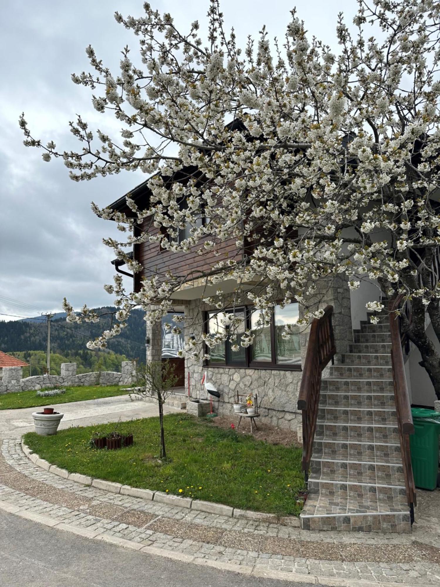 Apartmani Dunja Zlatar Nova Varoš Exterior foto